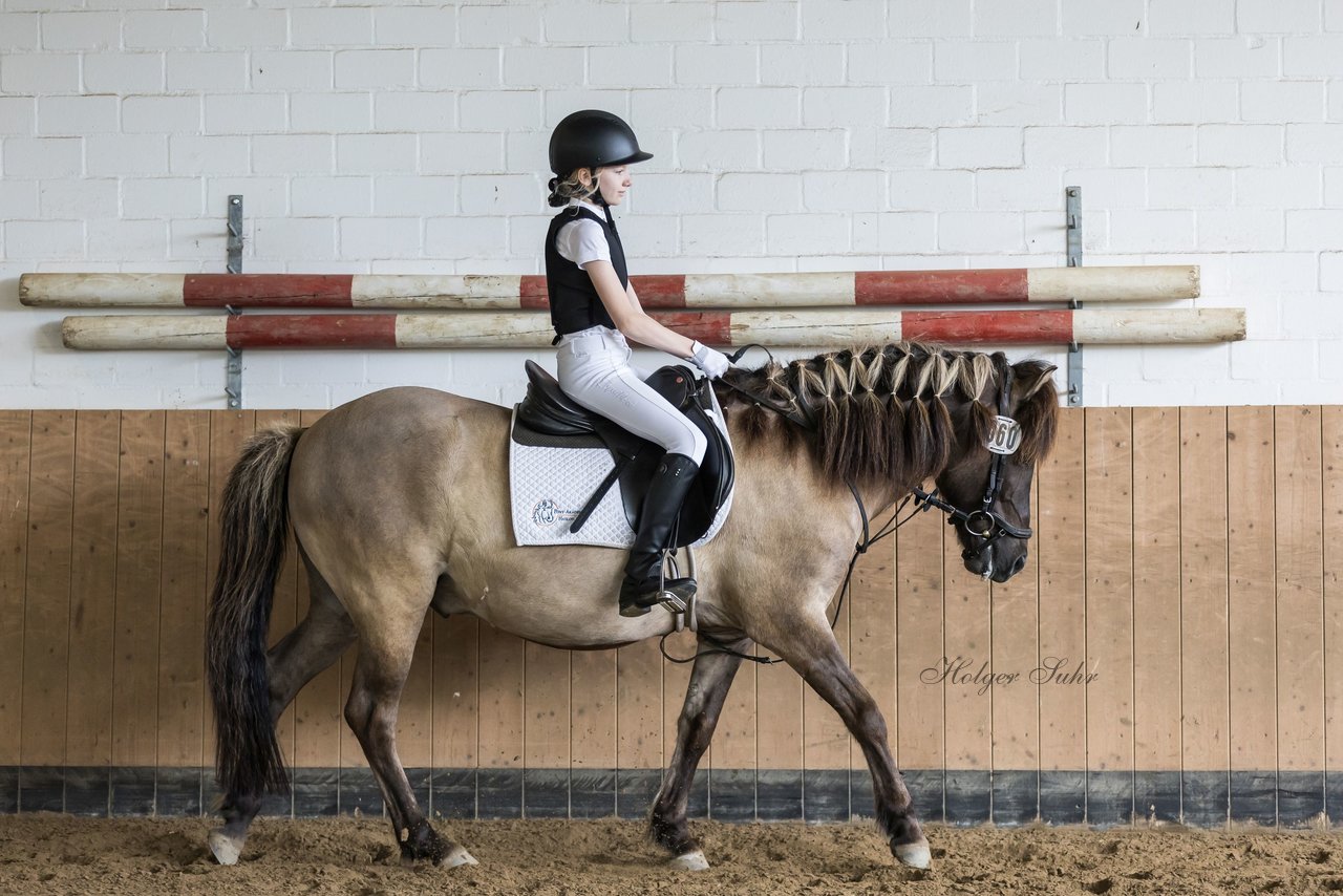 Bild 3 - Pony Akademie Turnier